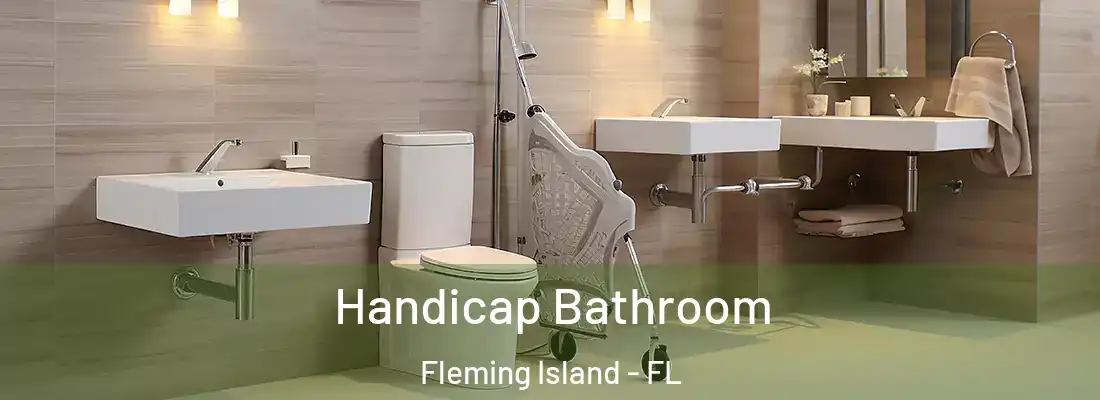 Handicap Bathroom Fleming Island - FL