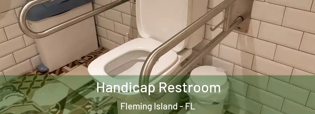 Handicap Restroom Fleming Island - FL