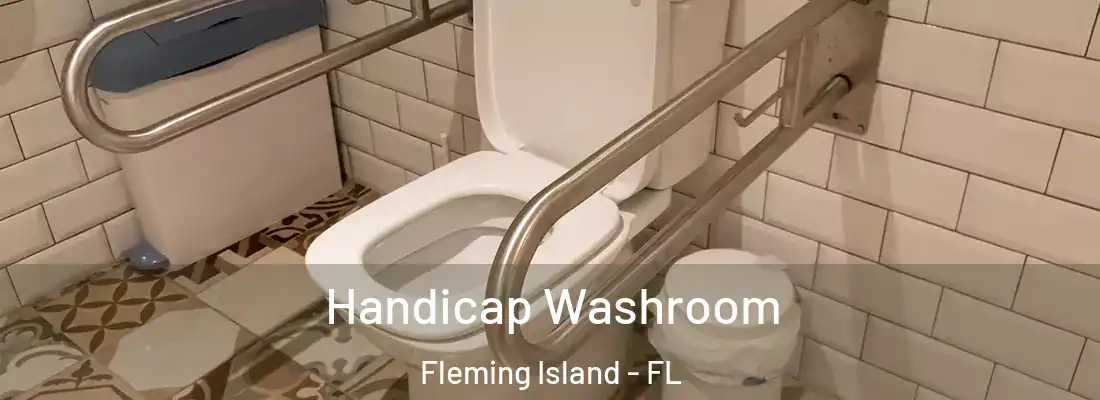 Handicap Washroom Fleming Island - FL