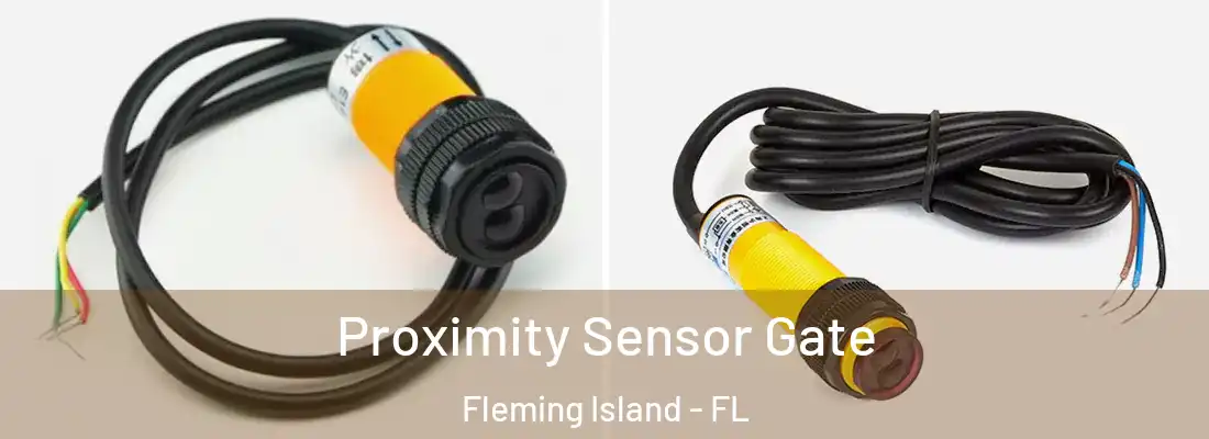 Proximity Sensor Gate Fleming Island - FL